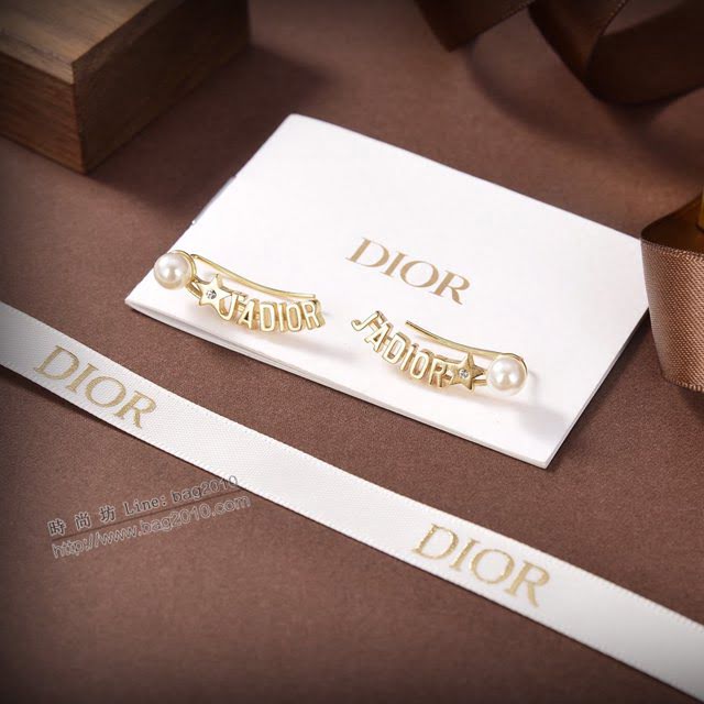 Dior飾品 2021新款DIOR迪奧字母耳釘耳環  zgd1397